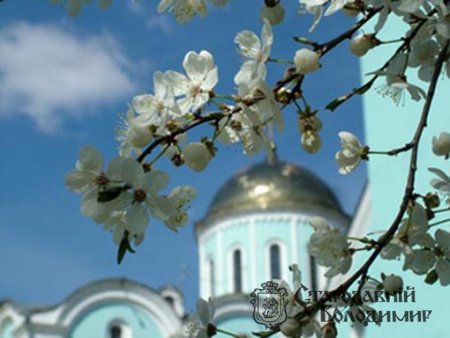 10 найгаргіших фотографій міста  у 2013 році