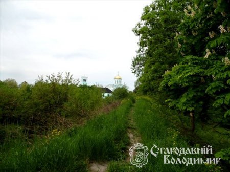 Володимир яскравий. Фото