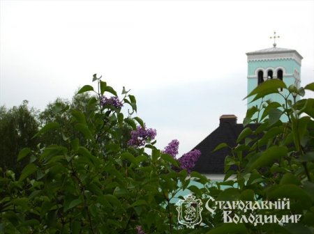 Володимир яскравий. Фото