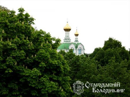 Володимир яскравий. Фото