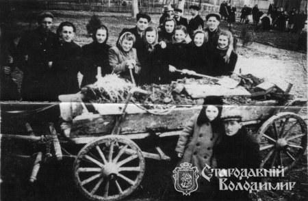 Маєвська Ольга Василівна
