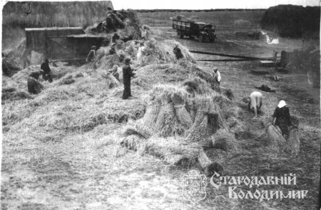 Маєвська Ольга Василівна