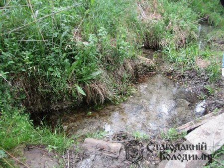 Цілюще джерело на землях панів Оранських