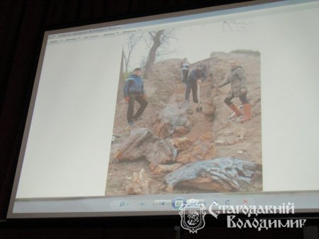 У Володимирі-Волинському відбулася конференція "Хроніки Ладомерії"