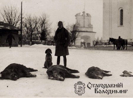 Зимовий Володимир на сторічних світлинах