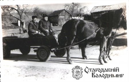 Ваврисевич Марія Макарівна