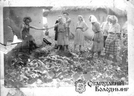 Пелех Ольга Дмитрівна