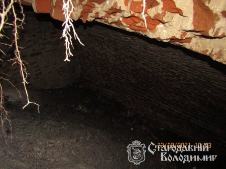 Підвал 18 століття почали досліджувати у Володимирі-Волинському