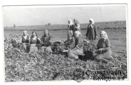 Солодуха (Лисюк) Антоніна Володимирівна