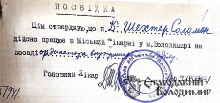 Історії лікарів Шехтерів у Володимирі